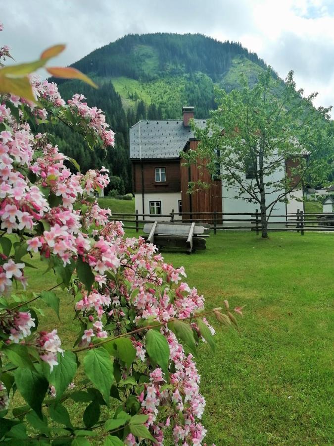 Himmlisch Urlauben St. Nikolai Lägenhet Sankt Nikolai im Sölktal Exteriör bild
